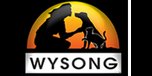 View Wysong.net website