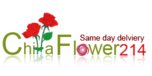 View Chinaflower214.com website