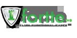 View Fortte.com website