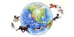 View Globaldognaturalpetproducts.com website