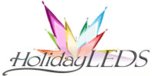 View Holidayleds.com website