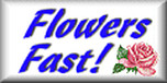 View Flowers Fast! website