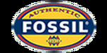 View Fossil website