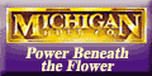 View Michigan Bulb website