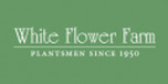 View White Flower Farm website
