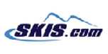 View Skis.com website