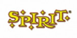 View SpiritHalloween.com website