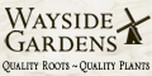 View Wayside Gardens website