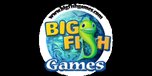 View Bigfishgames.com website