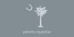 View Palmettoequestrian.com website