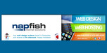 View Napfish.ca website