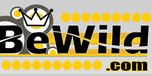 View Bewild.com website