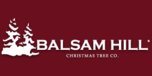 View Balsamhill.com website