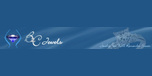 View B2cjewels.com website