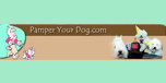 View Pamperyourdog.com website