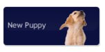 View Suburbandoghouse.com website