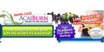View Acaiburn.com website