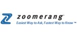 View Zoomerang.com website