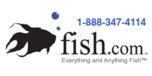 View Fish.com website