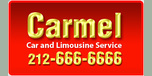 View Carmellimo.com website