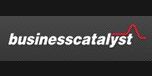 View Businesscatalyst.com website