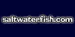 View Saltwaterfish.com website