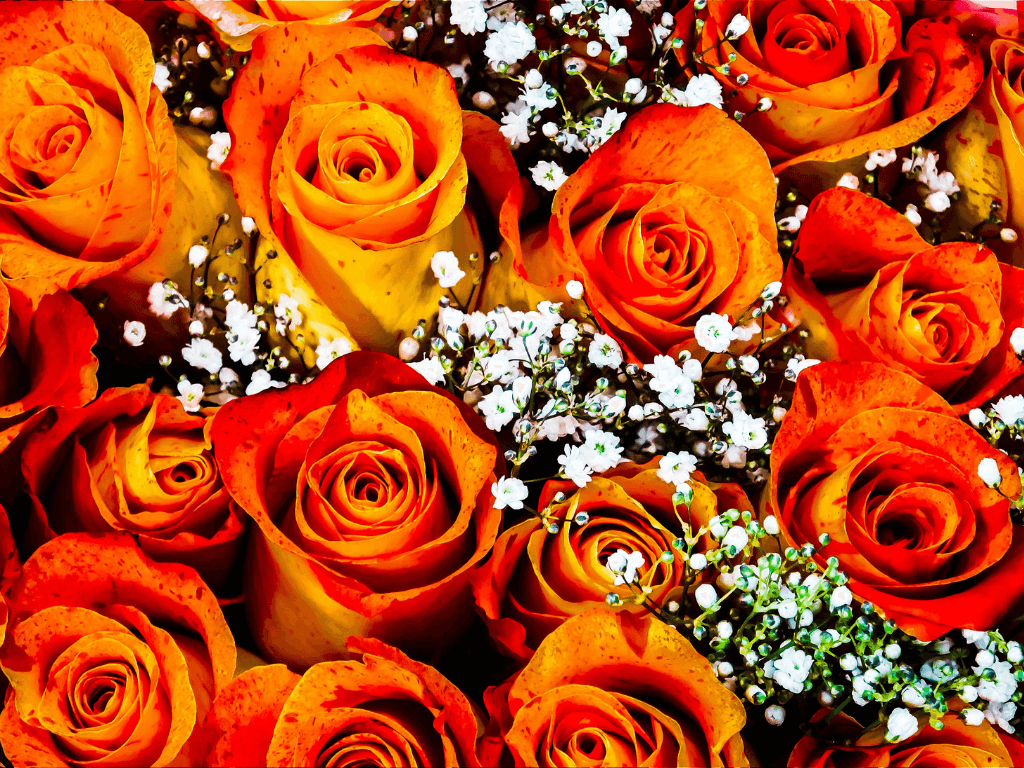 5 Inexpensive Fall Wedding Ideas Coupon Chief