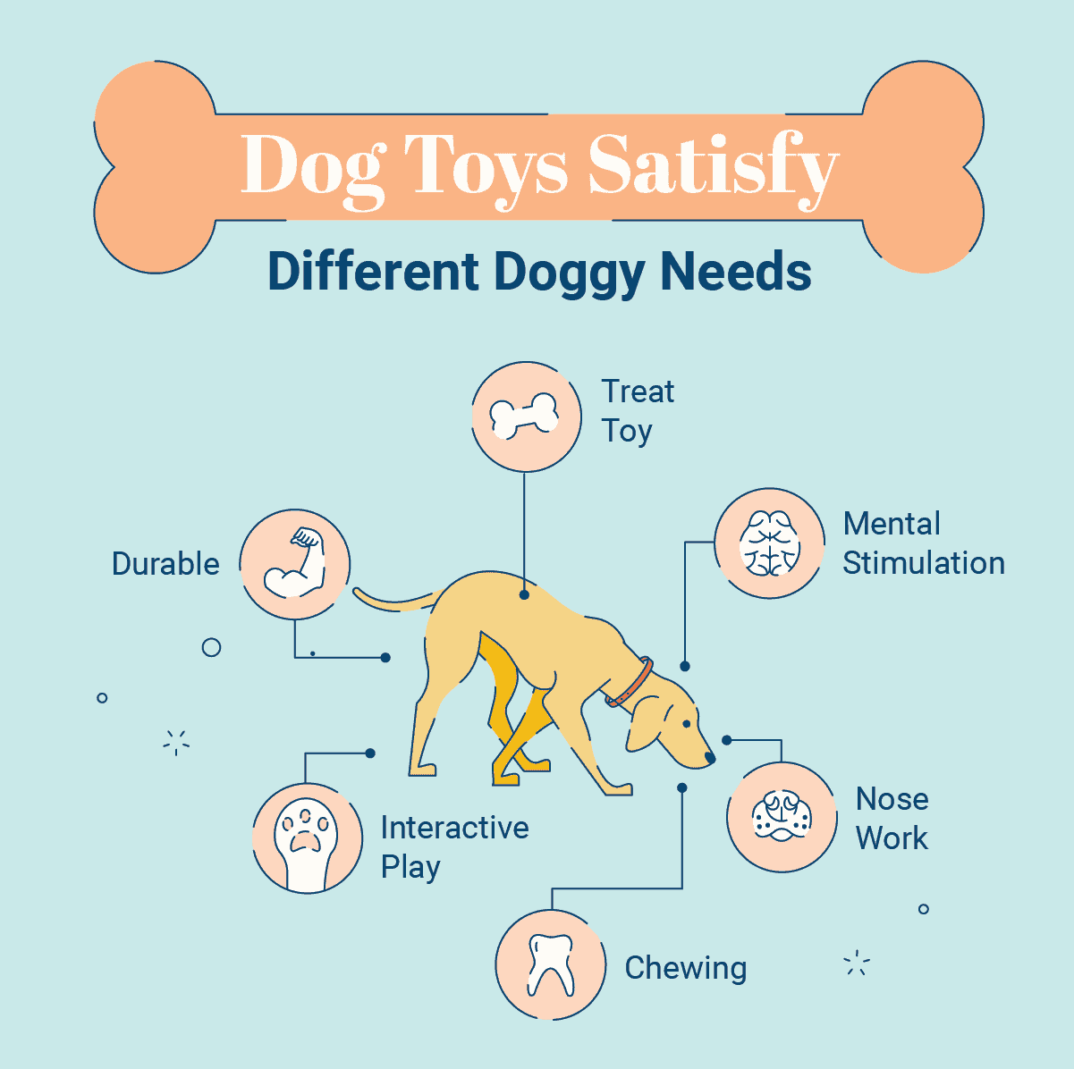 27 Easy DIY Games and Free Dog Toys Coupon Chief